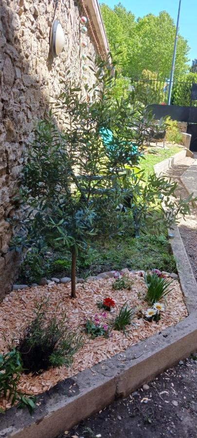 Le 9 De Cour, Chambre Chaco Carcassonne Exterior foto